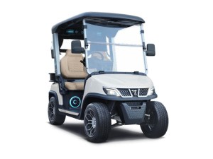 Tara Roadster 2 Seater Evolution Lithium Golf Cart White